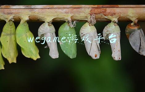 wegame游戏平台