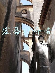 宏碁掠夺者