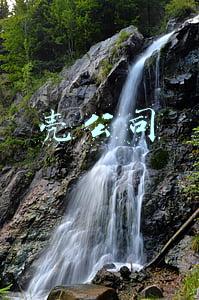 壳公司