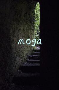 moga