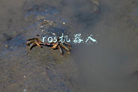 ros机器人
