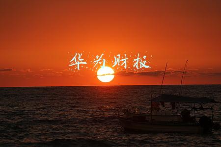 华为财报