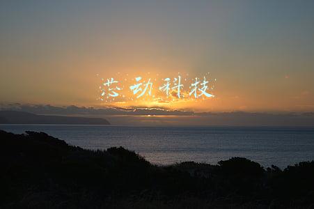 芯动科技