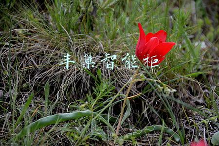 丰巢智能柜电话(受疫情影响快递柜里存件怎么办，丰巢回应来了)