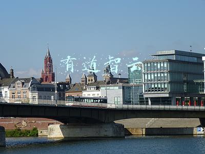 有道智云