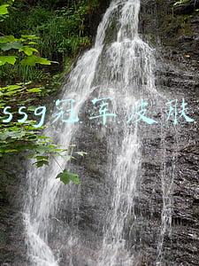 ssg冠军皮肤