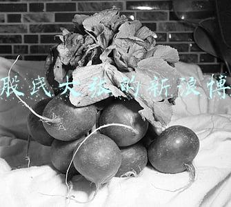 老股民大张(如期反弹但高度不可奢求！)