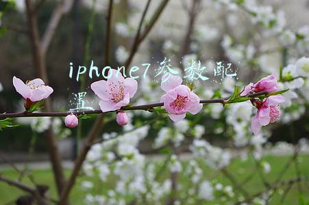 iphone8参数配置(iPhone 8前的机型不能升iOS 16！升级列表正式公布)