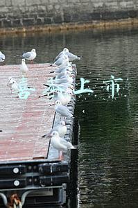 喜茶上市