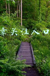 梁建章关注人口微博