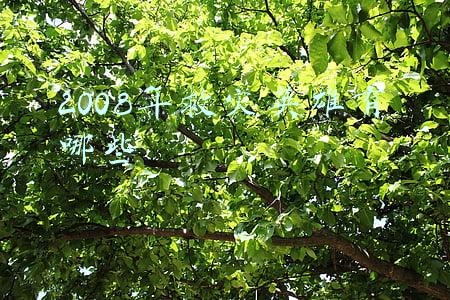 2008年救灾英雄有哪些