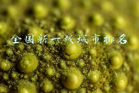 全国新一线城市排名