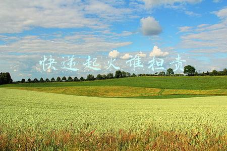 快递起火谁担责