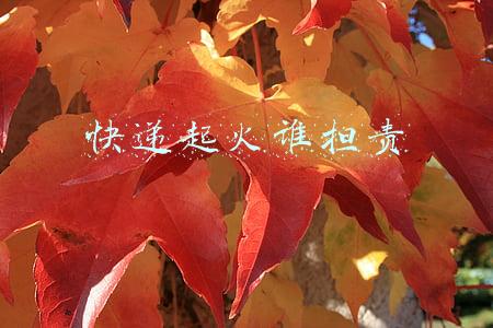 快递起火谁担责