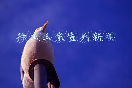 徐玉玉案宣判新闻
