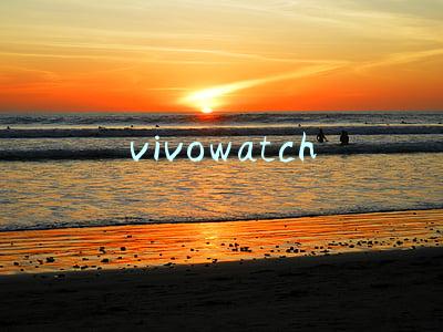 vivowatch
