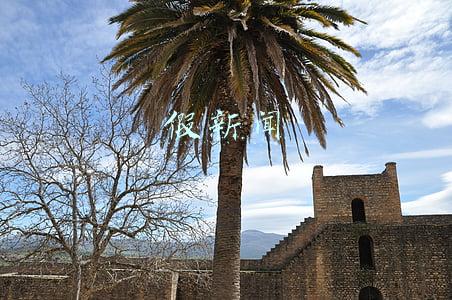 假新闻