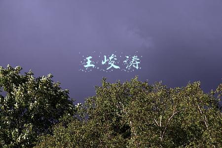 王峻涛