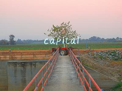 capital