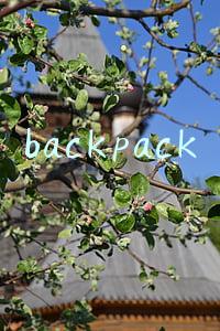 backpack