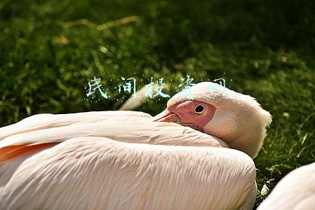 民间投资包括哪些(民间投资迎六大利好 多地集中开启重大项目推介)