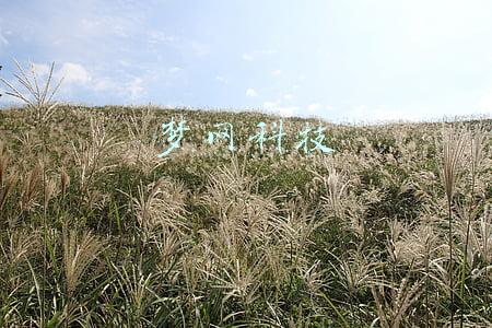 梦网科技002123股票(开源证券：维持梦网科技(002123.SZ)”买入“评级 业绩预告超预期 未来盈利能力有望再超预期)