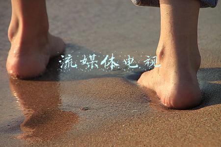 流媒体电视