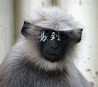 易到