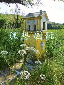 理想国际