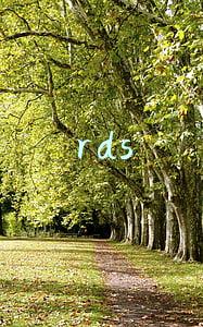 rds数据库(深度解析 RDS MySQL)