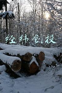 经纬创投