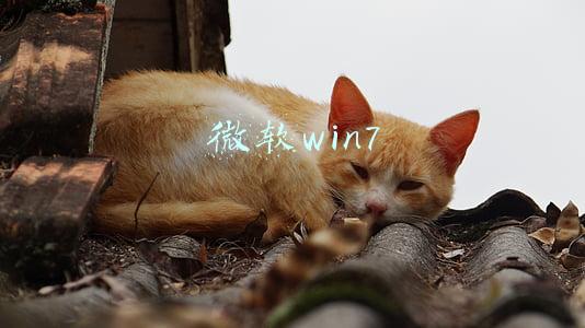 微软win7