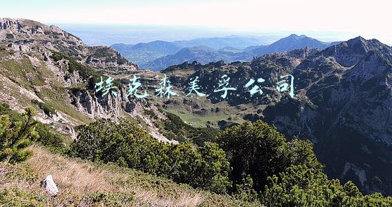 埃克森美孚公司