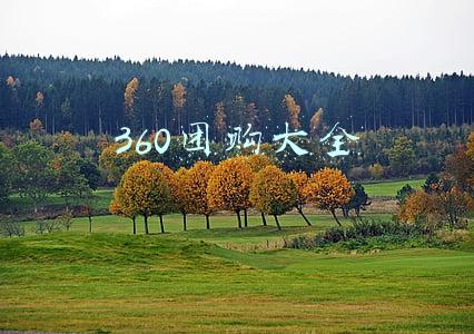 360团购大全