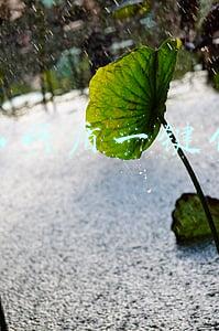 金山网盾一键修复