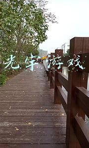 光宇游戏