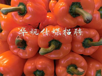 华视传媒招聘