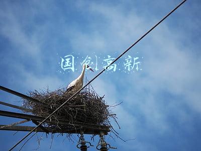 国创高新