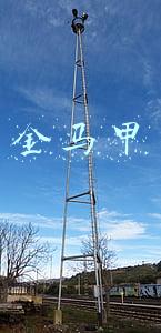 金马甲文交所最新消息(南京文交所或将快速跟进金马甲上线粮票 建立票证交易中心)