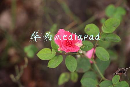 华为mediapad