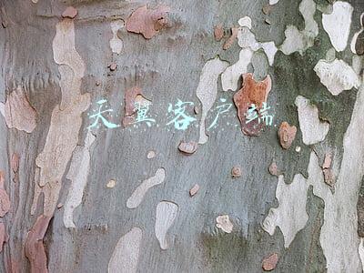 天翼客户端