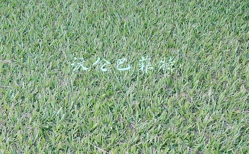 沃伦巴菲特