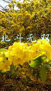 北斗无双