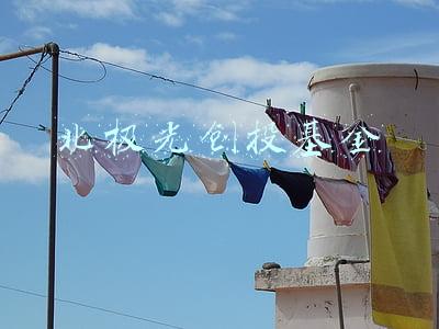 北极光创投基金