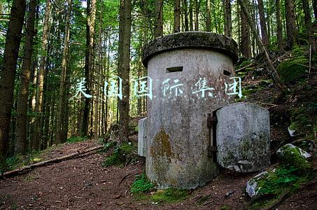 美国国际集团