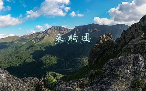 采购团