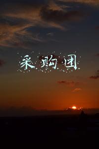采购团