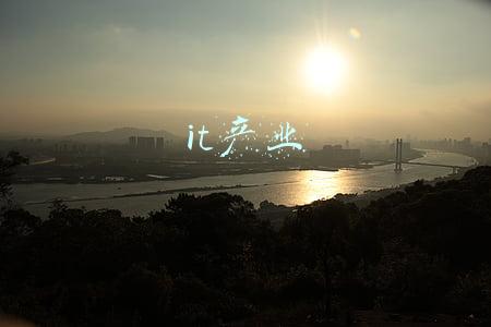 it产业