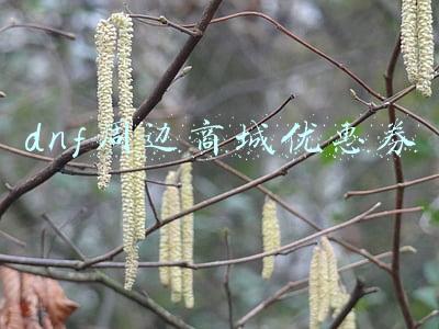 dnf周边商城优惠券