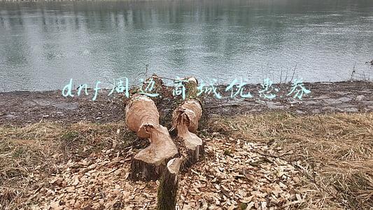dnf周边商城优惠券